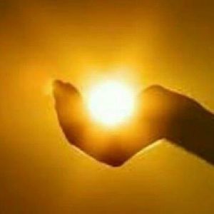 Meet your Posher, Oscar